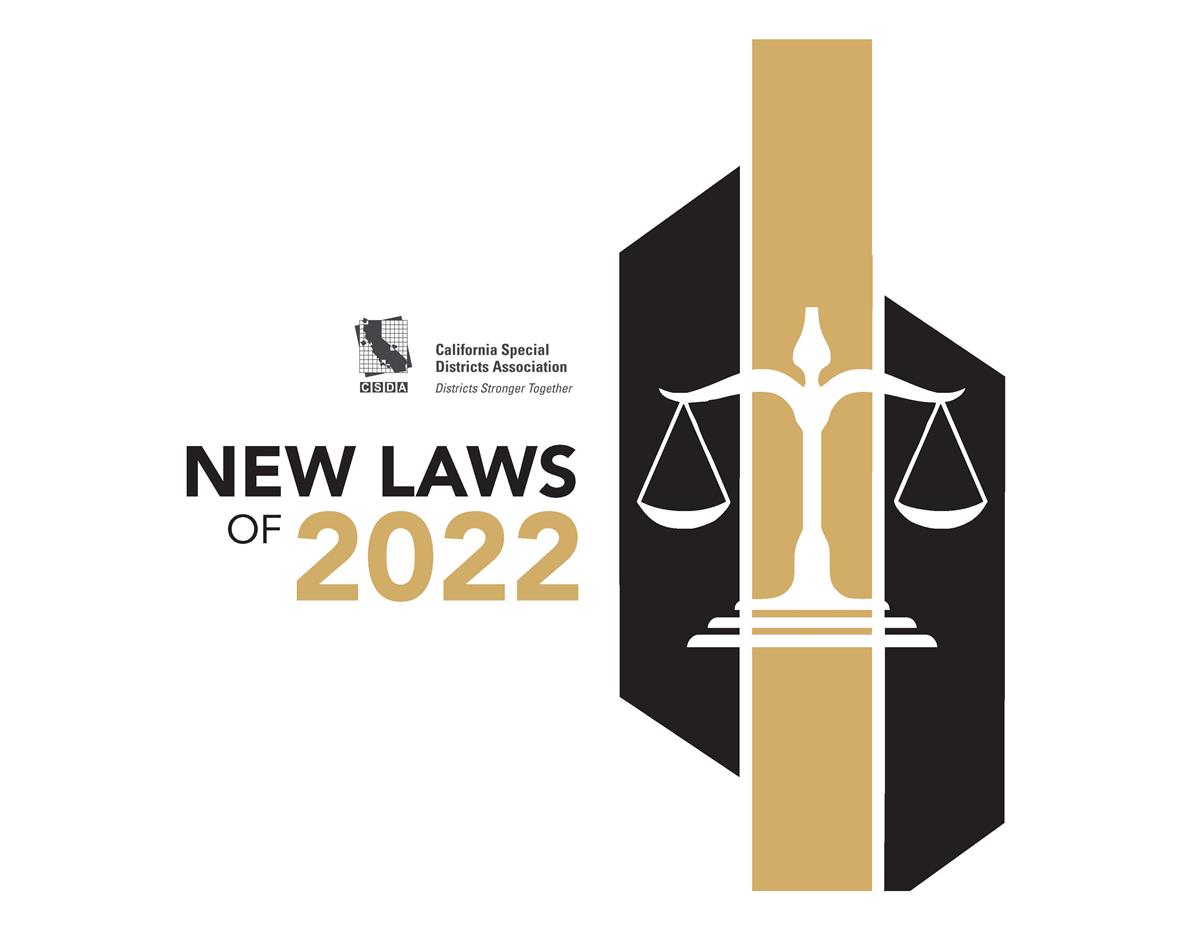 Image of gavel and New Laws of 2022 text and CSDA logo